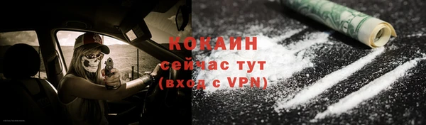 стаф Аркадак