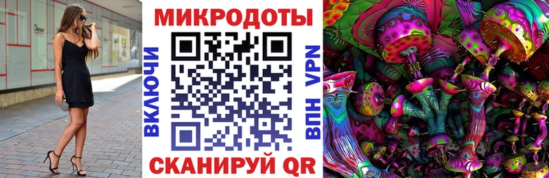 где найти Ясный Галлюциногенные грибы мухоморы